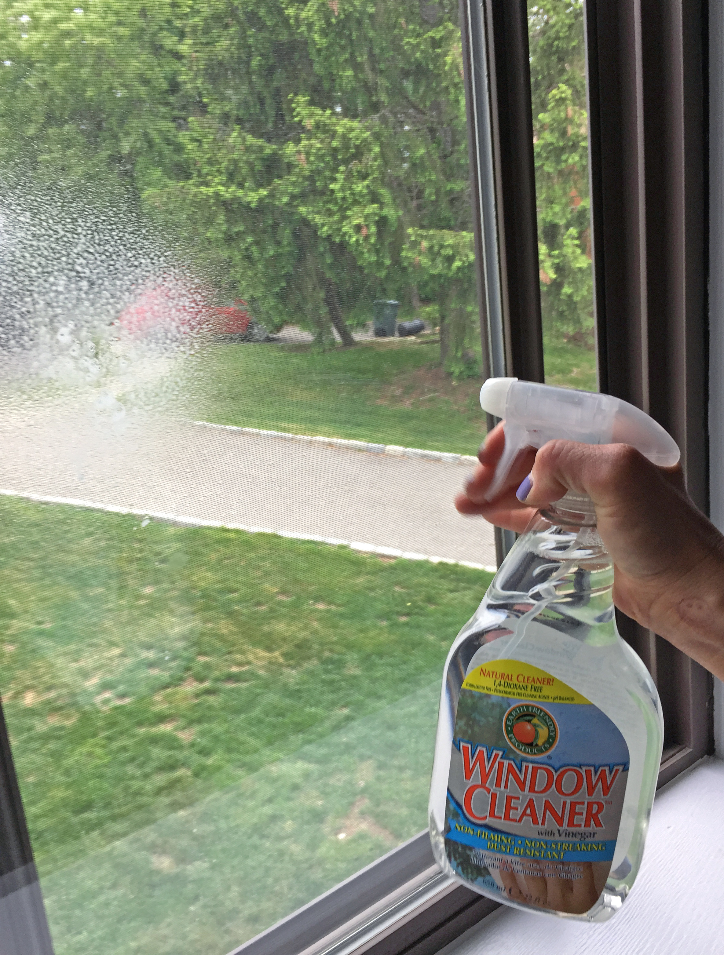 Types of Window Cleaning Services You Need